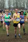Senior mens Inter Counties Cross Country, Prestwold Hall, Loughborough. Photo: David T. Hewitson/Sports for All Pics